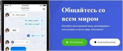 язык язык