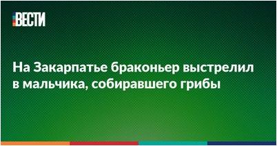 microsoft microsoft