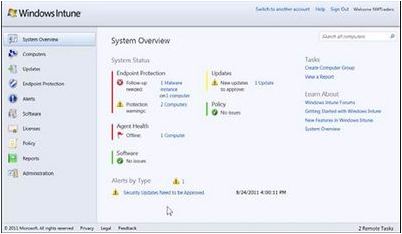 windows windows