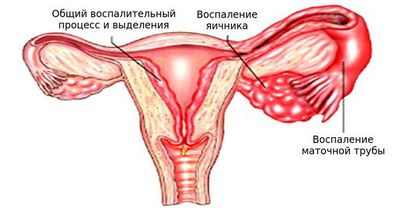 Обнаружен ключ к неконтролируемому иммунному ответу при повреждении легких Обнаружен ключ к неконтролируемому иммунному ответу при повреждении легких