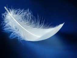 Односторонние клапаны для лечения тяжелой эмфиземы